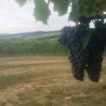 Berks County Wine Trail